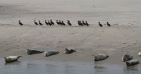 IMG_0032a