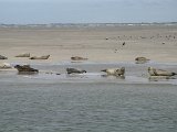 20072012_027