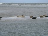 20072012_031
