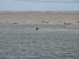 20072012_035